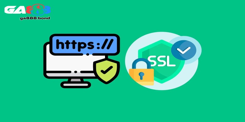 Bảo mật tuyệt đối bằng SSL & IOvations