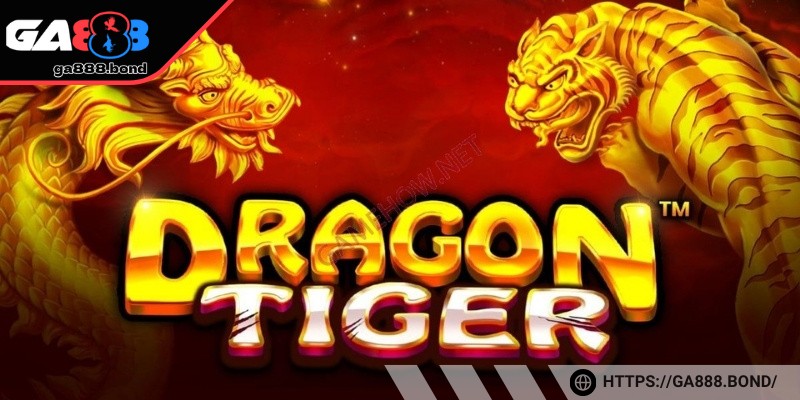 Chi tiết quy trình ván chơi ngắn gọn cho người mới